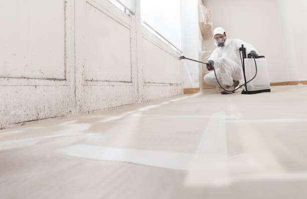 24/7 Emergency Commercial Mold Remediation experts in Manassas, VA